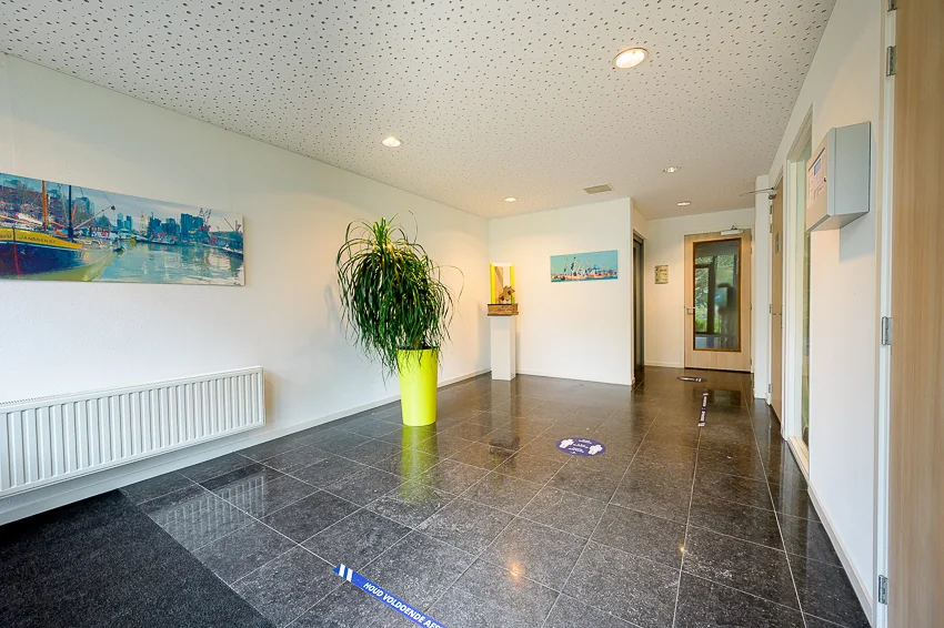 Entreehal aan de Jacques Dutilhweg met glanzende zwarte tegelvloer, kunst aan de muur en een grote plant in een gele pot.